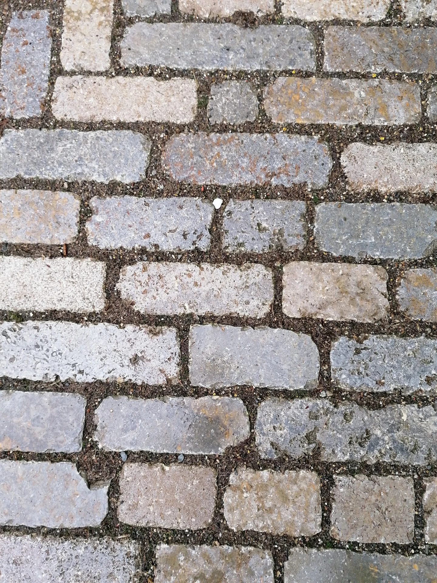 Galeriebild 4