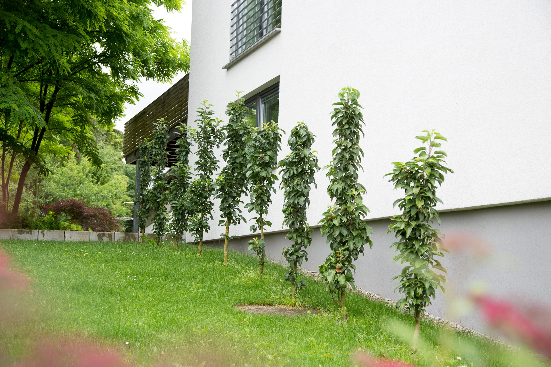 Galeriebild 2