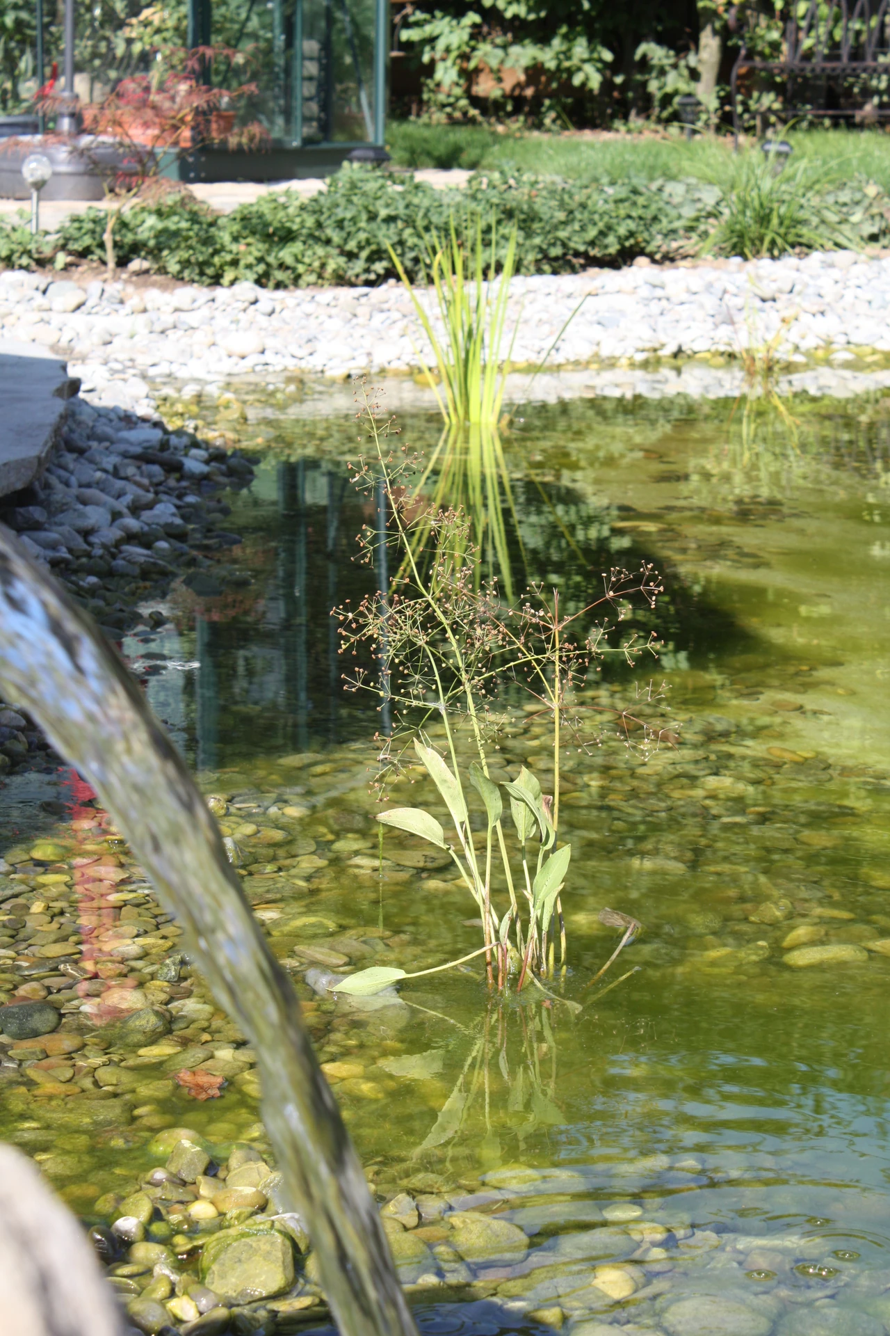 Galeriebild 6