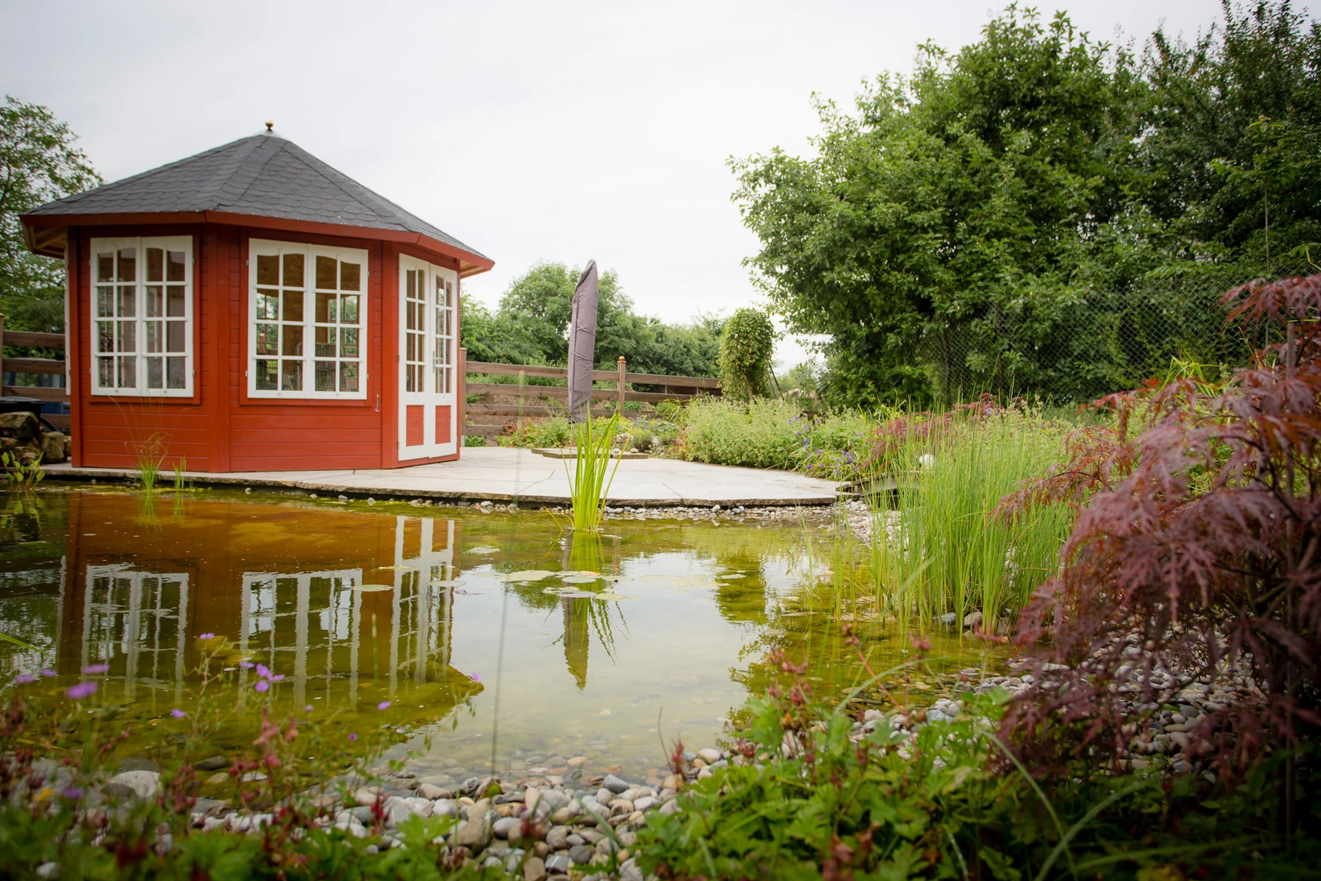 Galeriebild 8