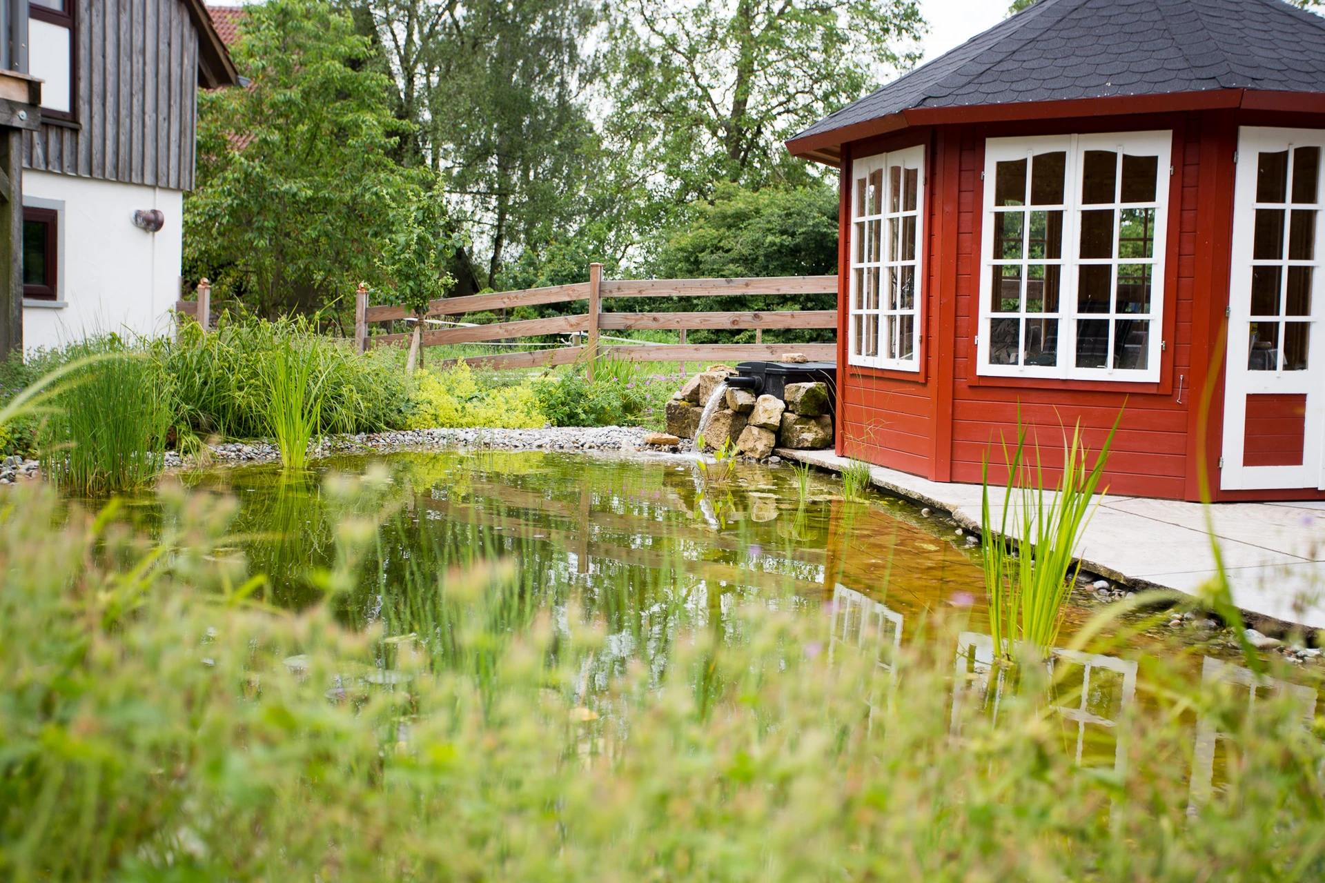 Galeriebild 9
