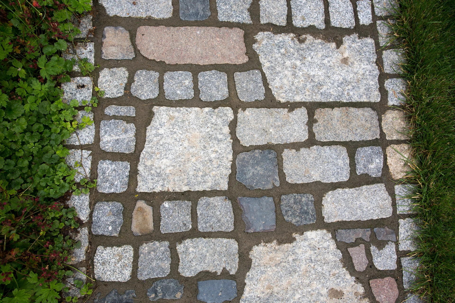 Galeriebild 2