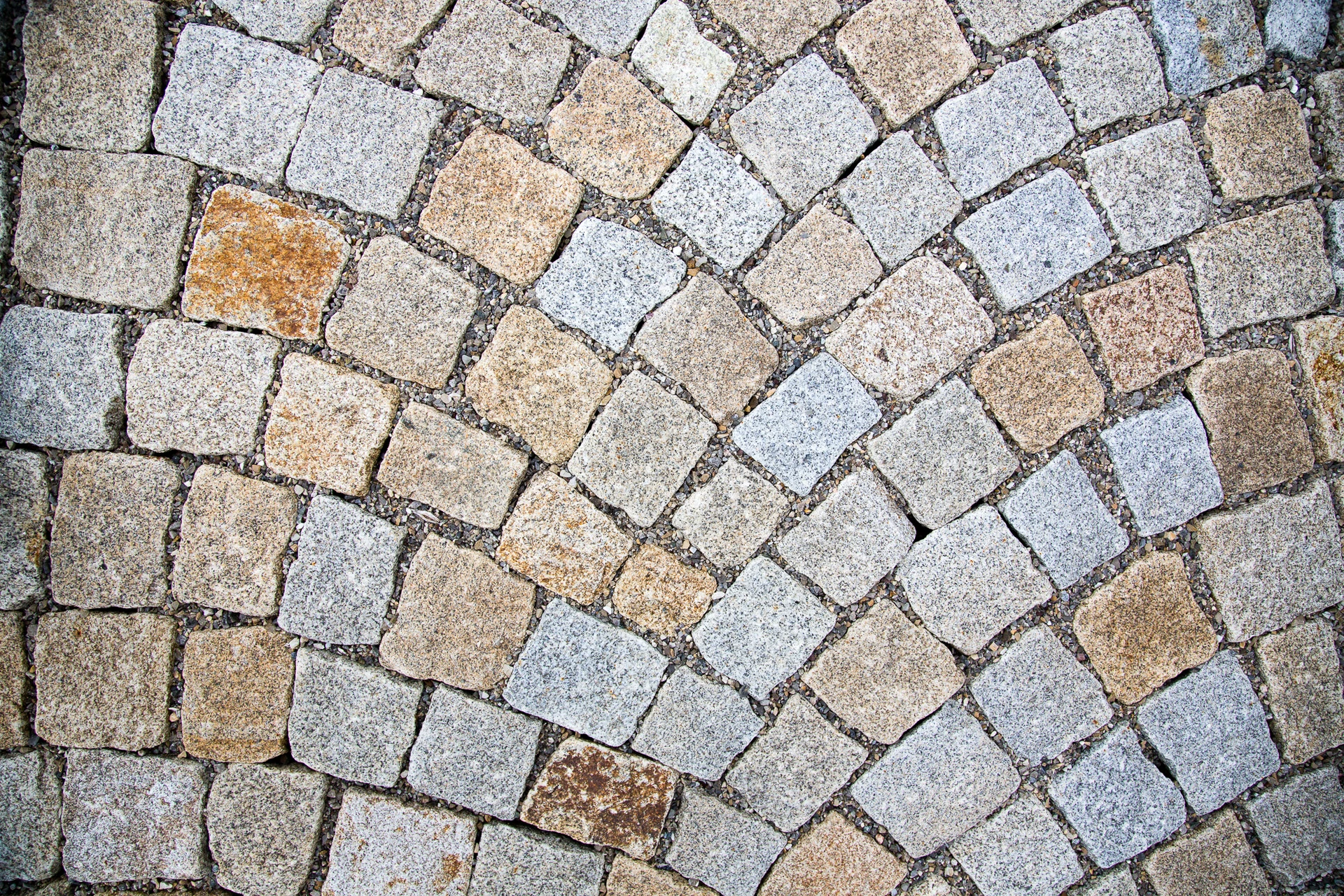 Galeriebild 11